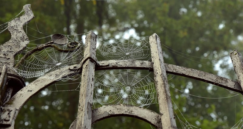 Mystical Portal